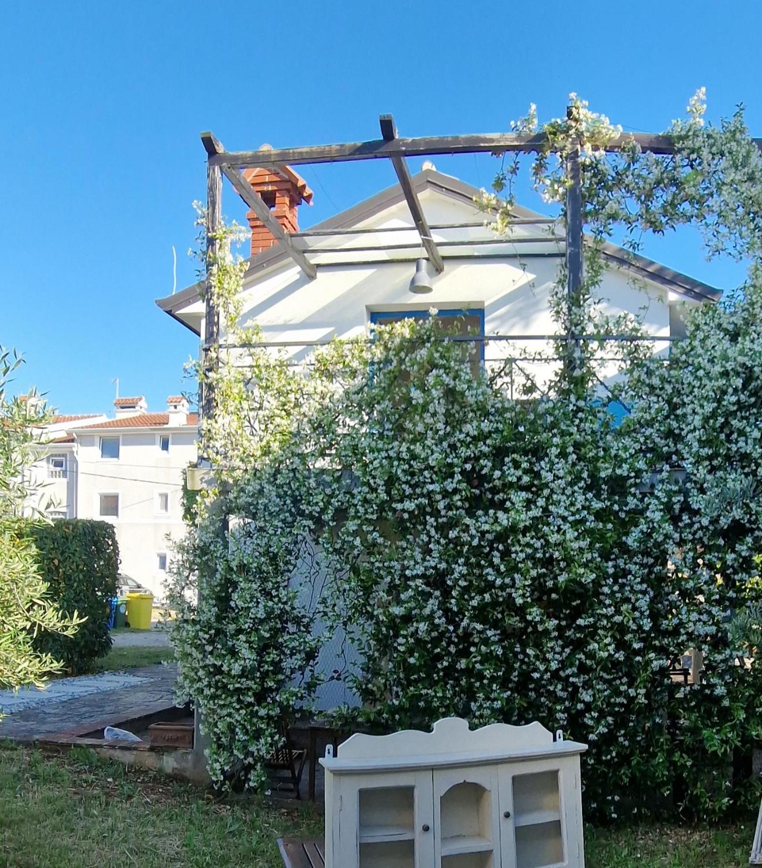 Apartments Ivas Zambratija (Istria) Exterior foto